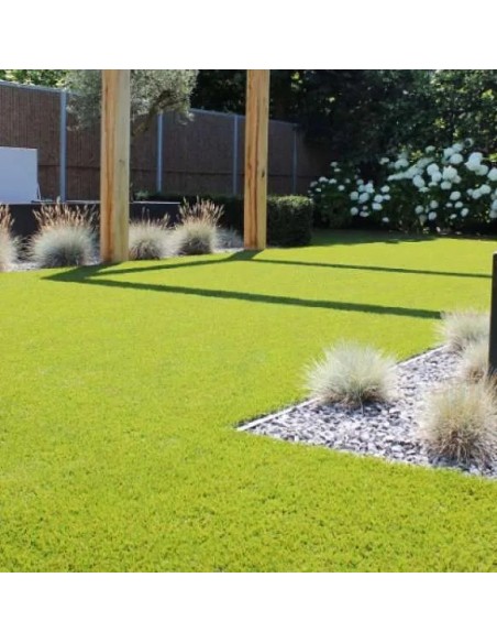 Gazon synthétique Elite 35 millimètre largeur 2 mètres