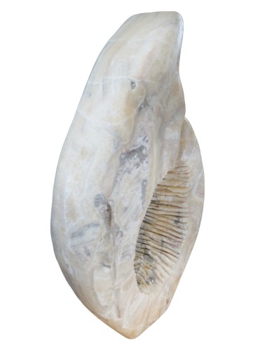 Sculpture en Onyx Hauteur 105 cm