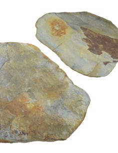 Pas japonais en Ardoise de Rio Multicolore GRAND FORMAT