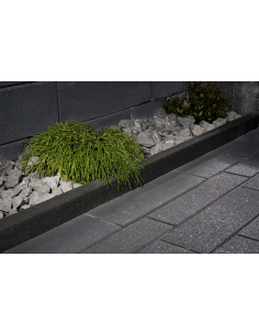 Bordurette de Jardin Tête Plate en Béton 100x25x5 cm Anthracite 2