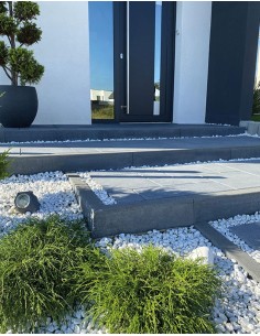 Bordurette de Jardin Tête Plate en Béton 100x25x5 cm Anthracite